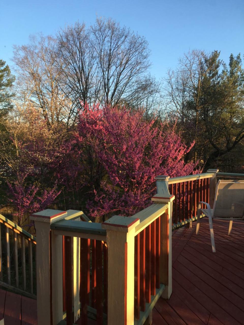 Jonesborough Bed And Breakfast المظهر الخارجي الصورة
